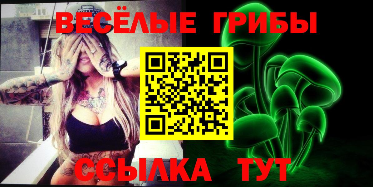 Севастополь  Галлюциногенные грибы прущие грибы  Вход с VPN 